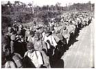 　１９４５年９月２３日、ブーゲンビル。降伏した日本海軍の部隊がタロキナの捕虜収容所へと行進している。戦争中はわずか数百人の日本軍捕虜しか収容していなかったオーストラリアの軍事当局は戦争終結直後に突然１４万人以上の日本軍捕虜を収容しなければならなくなった。捕虜の大部分はニューブリテン島のラバウルに収容され、１９４６年１月から６月にかけて日本に送還された。