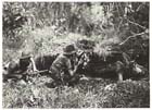 Australian infantry of the 2/3rd Battalion check a Japanese pillbox destroyed by an accompanying Matilda tank, Kalimboa, April 1945. For ten months the 6th Division’s advance was dominated by small unit actions to find and eliminate well-camouflaged and constructed Japanese defences like this.  With the remnants of the Japanese 18th Army literally fighting to the death in their bunkers, the Australians had no choice but to clear them out, one by one.  It was an unglamourous and exhausting final campaign the very necessity of which was open to question. 