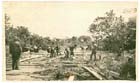 American Soldiers and Papuans work to construct a corduroy road in PNG.