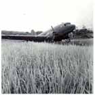 A C-47 Dokota, the standard Allied transport plane of WW2, at Bulolo Airstrip in New Guinea on 20 February 1944. General Kenney’s was the first ever air commander to use supply aircraft to turn the tide of battle on the ground. New Guinea provided the perfect conditions for this as sea and land supply routes were often inadequate due to the remoteness of the interior and Japanese activity.