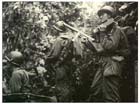 American soldiers of the 126th Regimental Combat Team patrol the jungle around their newly-established base at Saidor, 7 January 1944.  The American landing at Saidor (2 January) had helped to convince General ADACHI to order a general withdrawal to Madang.  Unfortunately the Americans were unable to prevent large numbers of the retreating Japanese from slipping past them.