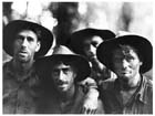 Australian soldiers of A Company, 2/12th Battalion, after the capture of Shaggy Ridge, 23 January 1944.  The strain of combat and their relief at having survived it is plainly visible in the faces of these men.  The 2/12th Battalion had suffered more than 70 casualties over the previous 48 hours in some of the most costly fighting of the whole Madang campaign.